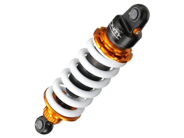 Shock Racgp rear shock | Dragon Motorbikes